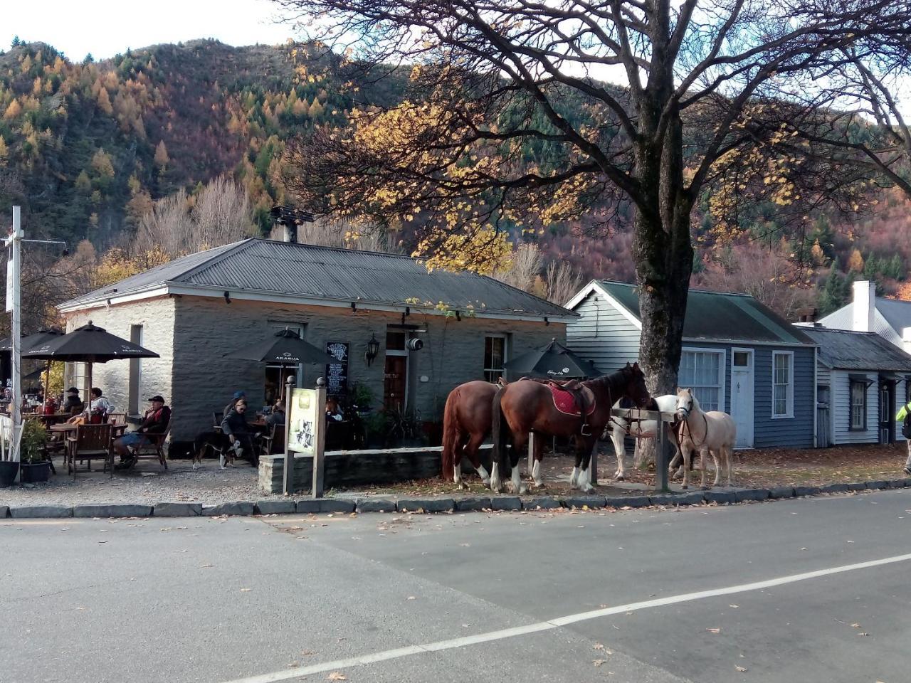 Arrowtown Viking Lodge Motel المظهر الخارجي الصورة